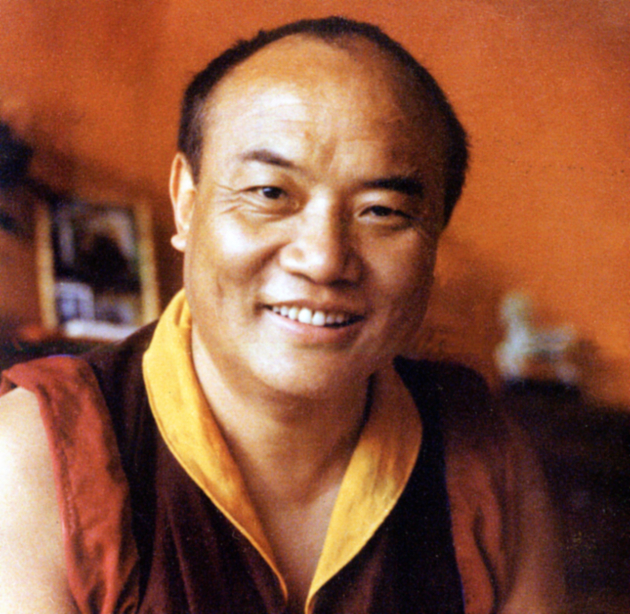 Le XVIᵉ Karmapa Rangjung Rigpé Dorjé